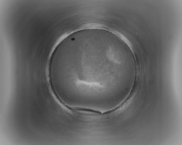 X0000112150997200908141211