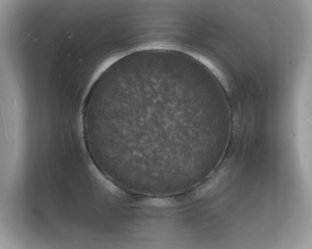 X0000112150998200908141211