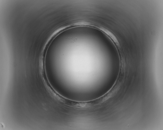 X0000112151000200908141211