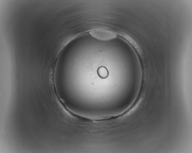 X0000112151001200908141211