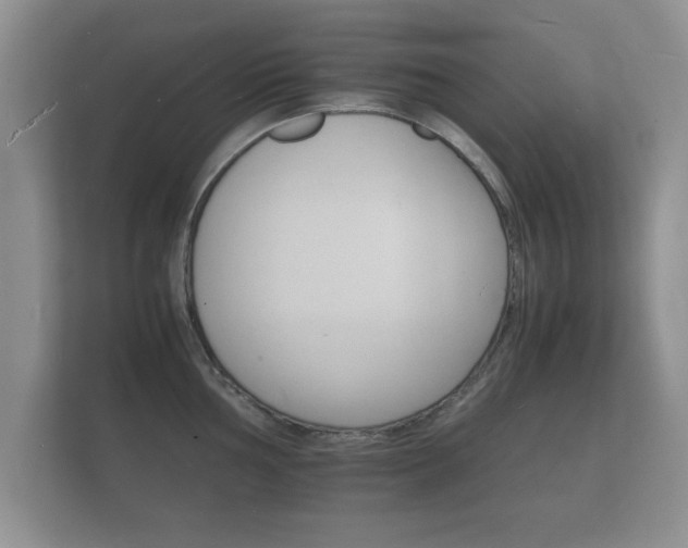 X0000112151002200908141211