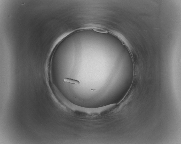 X0000112151003200908141211
