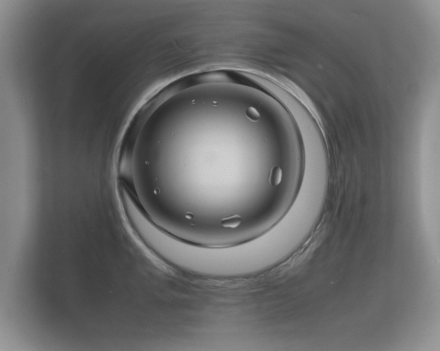 X0000112151005200908141211