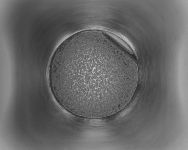 X0000112151007200908141211