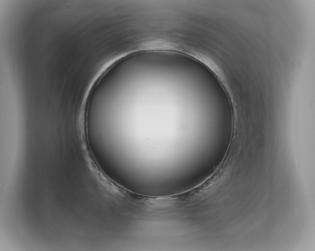 X0000112151008200908141211