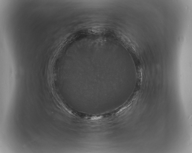 X0000112151009200908141210