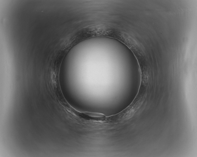 X0000112151010200908141210