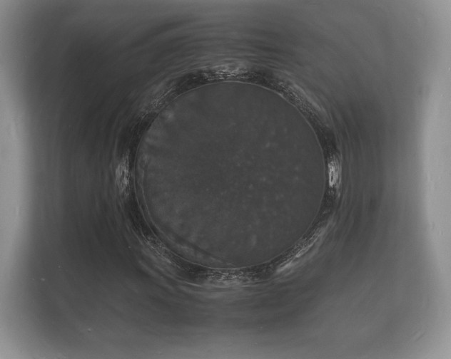 X0000112151011200908141210