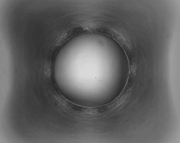 X0000112151012200908141210