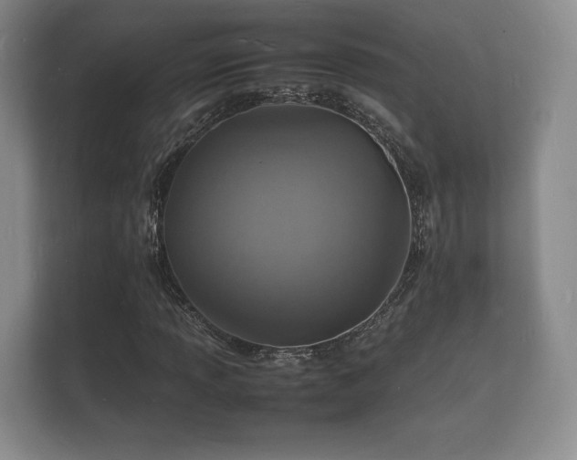 X0000112151013200908141210