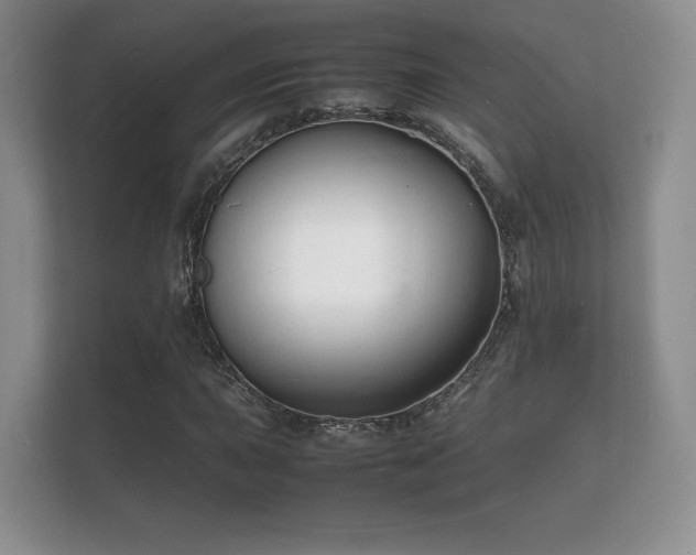 X0000112151015200908141210
