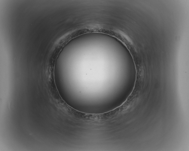 X0000112151016200908141210