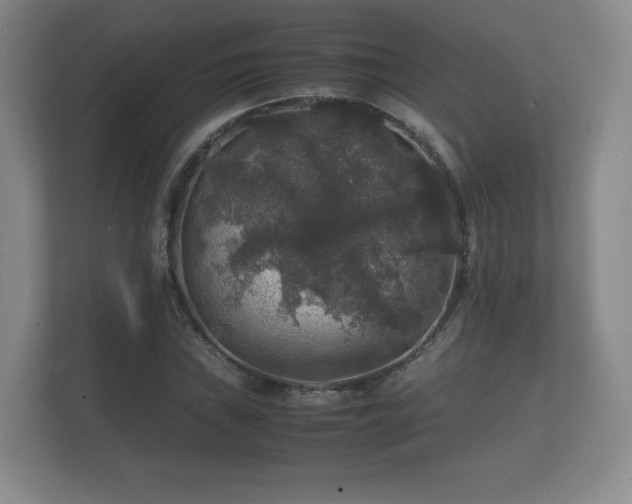 X0000112151019200908141210