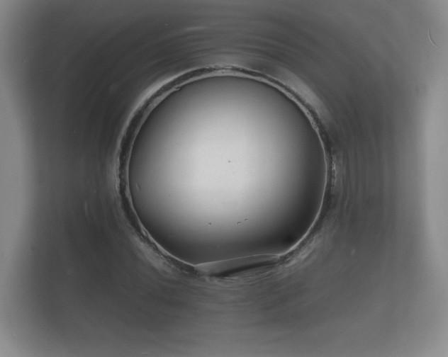 X0000112151020200908141210