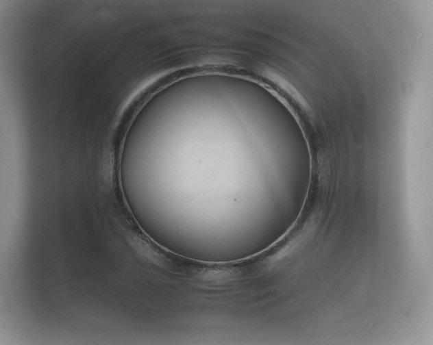 X0000112151021200908141210