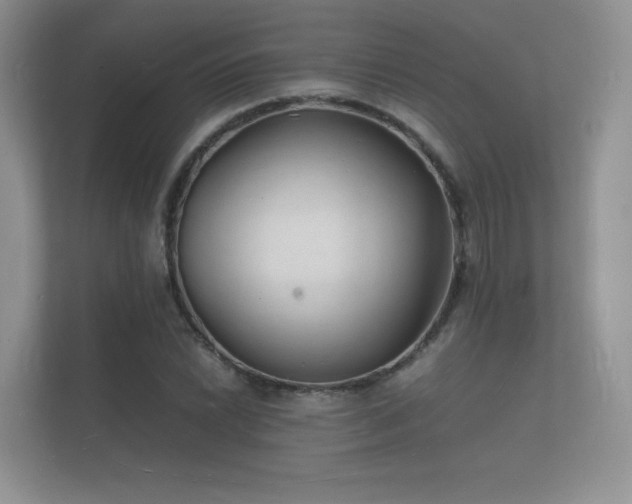 X0000112151022200908141210