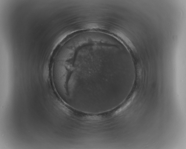 X0000112151023200908141210