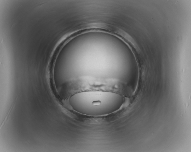 X0000112151024200908141210