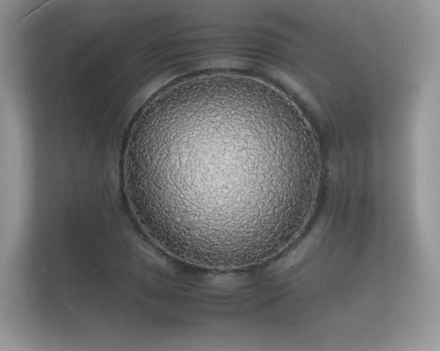 X0000112151025200908141210