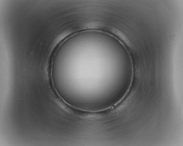 X0000112151026200908141210