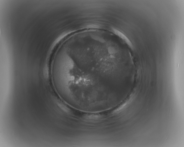 X0000112151027200908141210