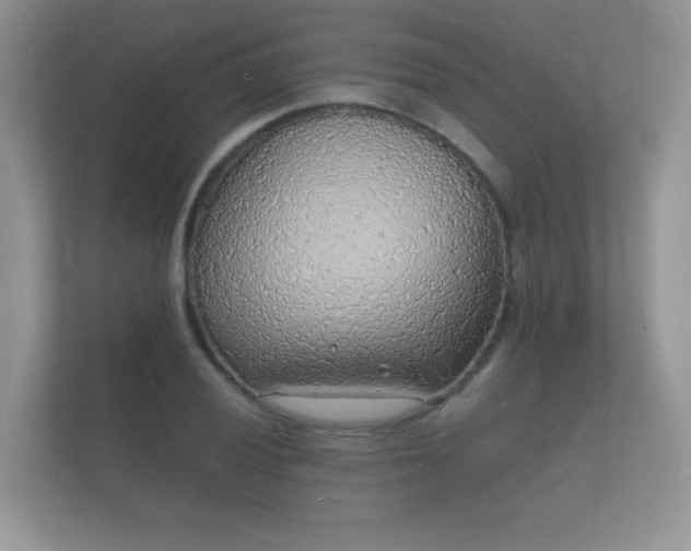 X0000112151028200908141210