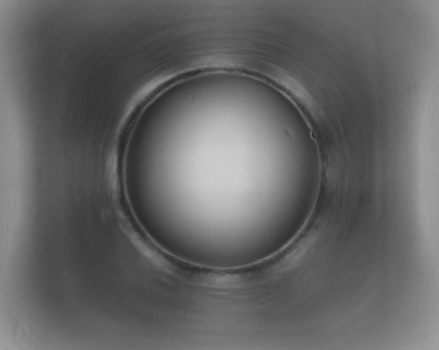 X0000112151030200908141210