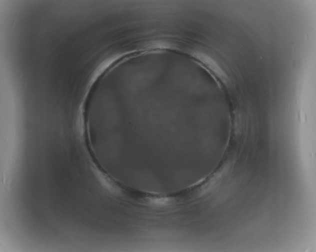 X0000112151031200908141210