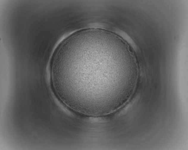 X0000112151032200908141210
