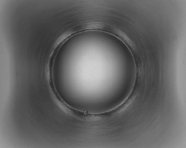 X0000112151034200908141210