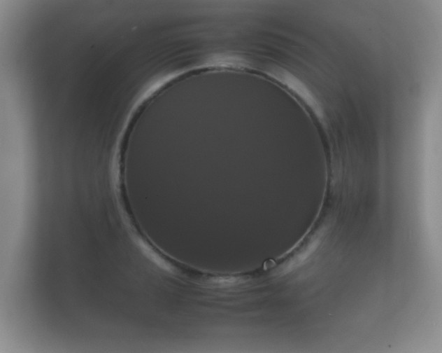 X0000112151037200908141210
