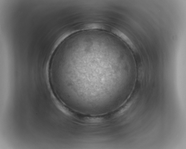 X0000112151039200908141210
