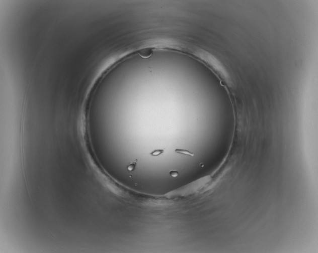 X0000112151040200908141210
