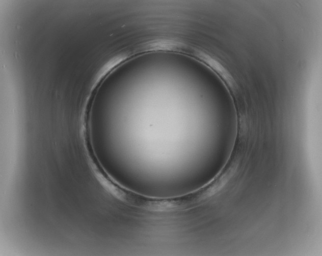 X0000112151042200908141210