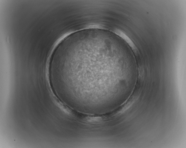 X0000112151043200908141210