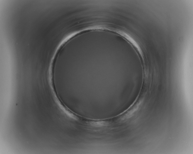X0000112151045200908141210