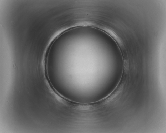 X0000112151046200908141210