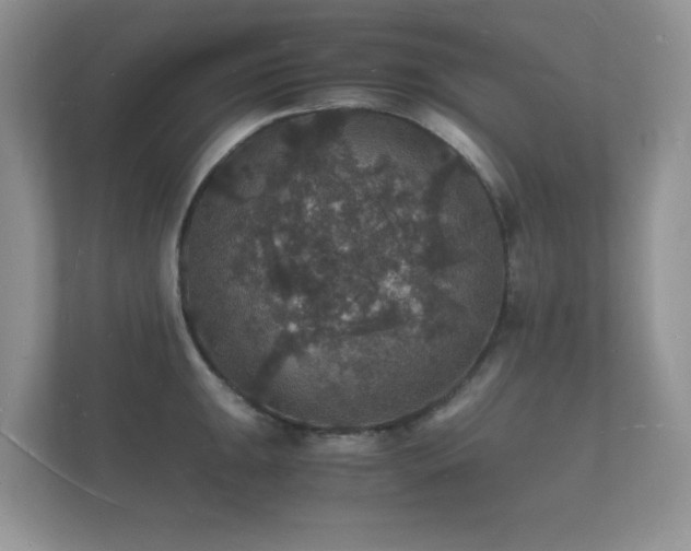 X0000112151047200908141210