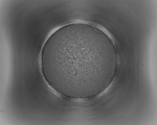 X0000112151048200908141210