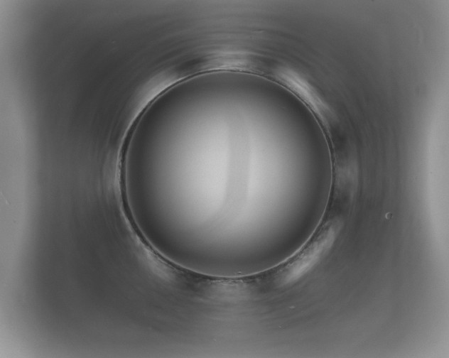 X0000112151050200908141210