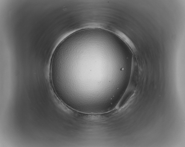 X0000112151052200908141211