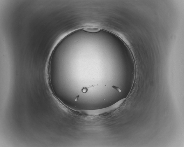 X0000112151056200908141211