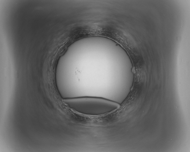 X0000112151057200908141210