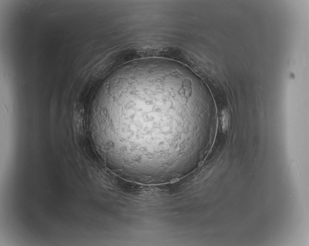 X0000112151059200908141210