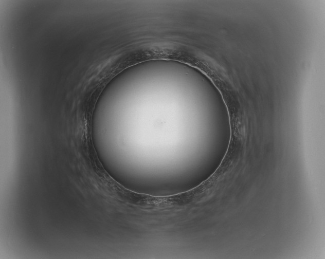 X0000112151061200908141210