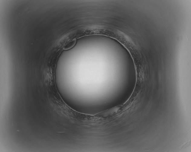X0000112151062200908141210