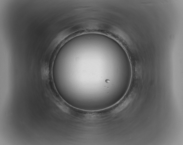 X0000112151065200908141210