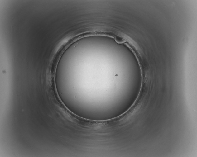 X0000112151067200908141210