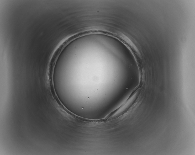 X0000112151068200908141210