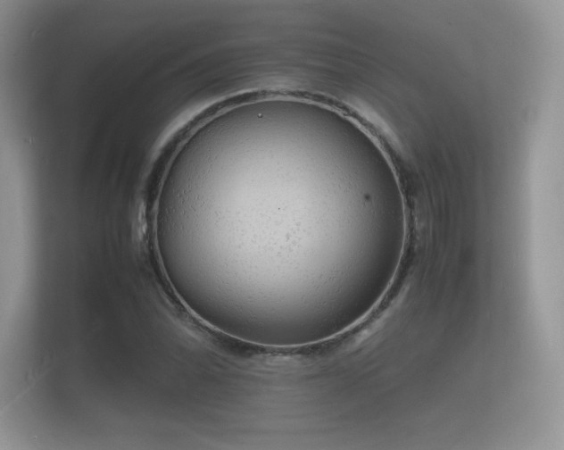 X0000112151070200908141210
